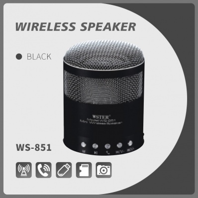 WSTER WS-851 Bluetooth-Lautsprecher