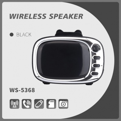 WSTER WS-5368 bluetooth speaker