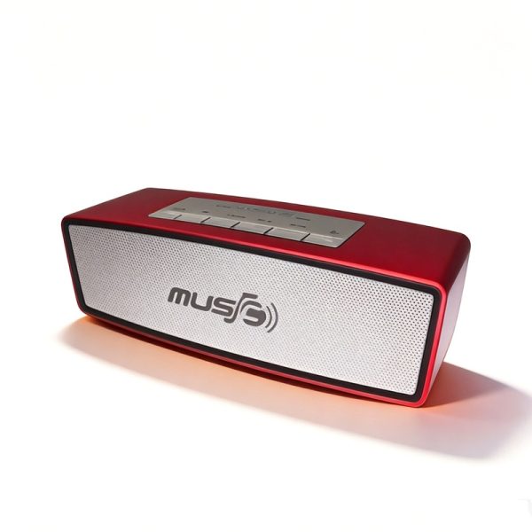 WS-636 Altoparlante Bluetooth con Radio FM Stereo Doppia USB/TF Altoparlante Wireless