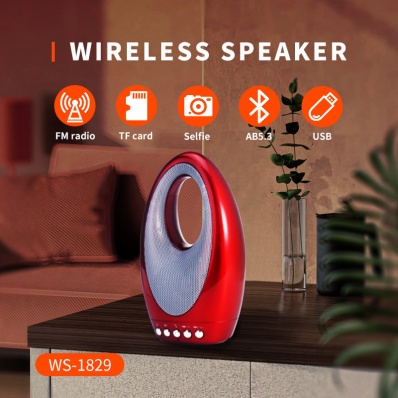 مكبر صوت بلوتوث WSTER WS-1829