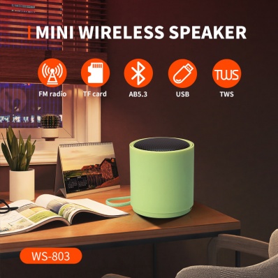 WSTER WS-803 mini bluetooth speaker