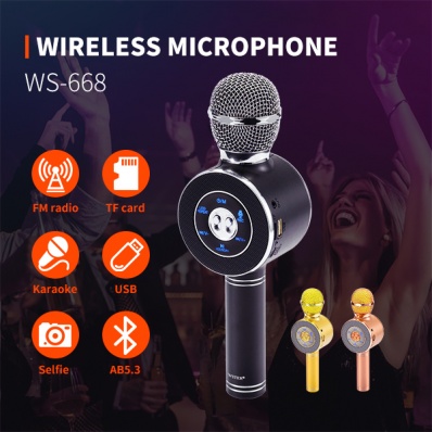 microfono karaoke WSTER WS-668