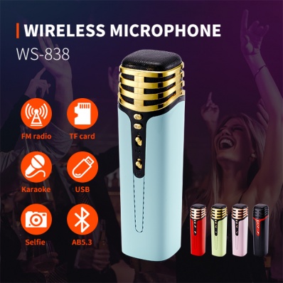 micro karaok&eacute; WSTER WS-838