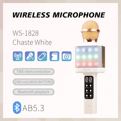 Microfone karaok&ecirc; WSTER WS-1828