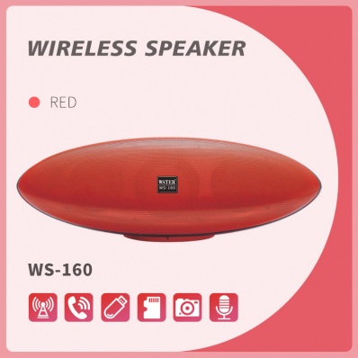 مكبر صوت بلوتوث WSTER WS-160