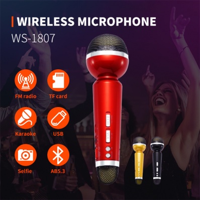 WSTER WS-1807 microfono karaoke
