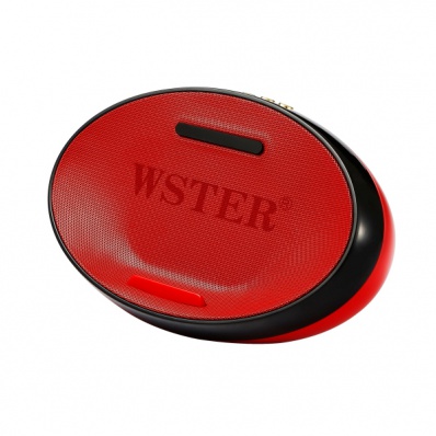 WSTER WS-1018 Bluetooth-Lautsprecher