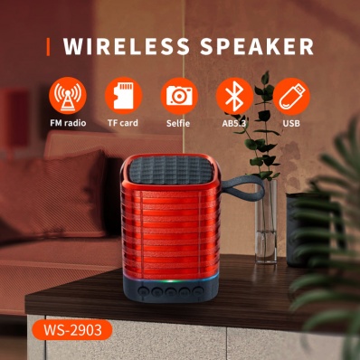 WSTER WS-2903 bluetooth speaker