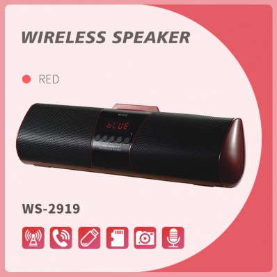 WSTER WS-2919 bluetooth speaker