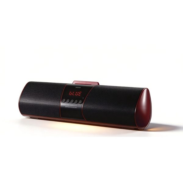 WS-2919 Bluetooth Speaker with FM Radio USB/TF Recording Wireless Loudspeaker