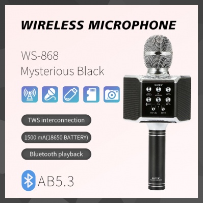 micro karaok&eacute; WSTER WS-868