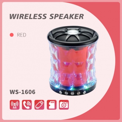 WSTER WS-1606 bluetooth speaker