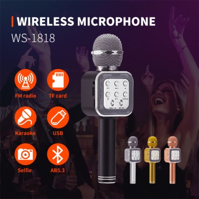 microfone karaok&ecirc; WSTER WS-1818