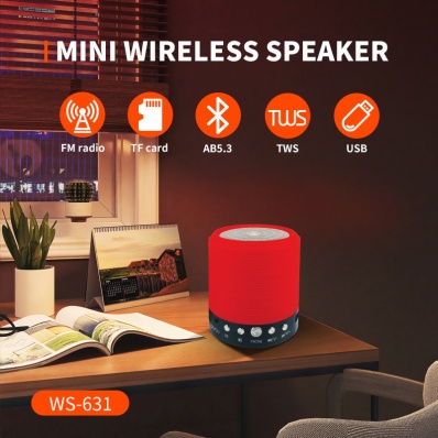 WSTER WS-631 Mini-Bluetooth-Lautsprecher