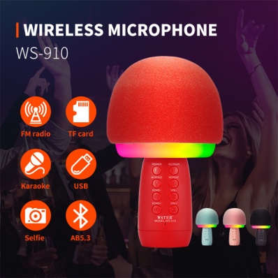 WSTER WS-910 Karaoke-Mikrofon