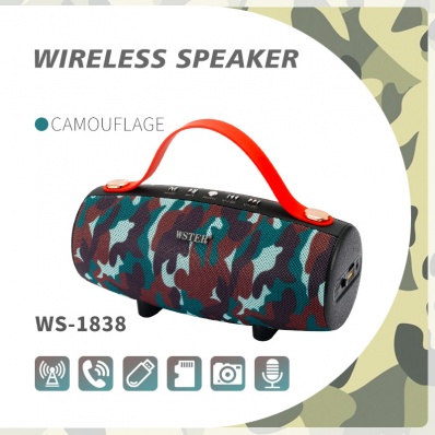 مكبر صوت WSTER WS-1838 بلوتوث