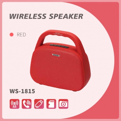 Altoparlante bluetooth WSTER WS-1815