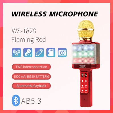 Microfone karaok&ecirc; WSTER WS-1828
