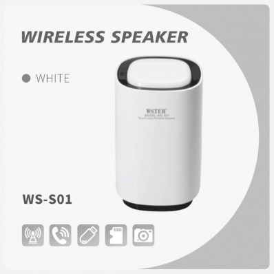 Alto-falante bluetooth WSTER WS-S01