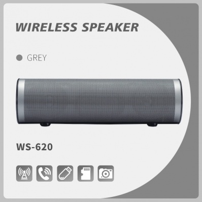 WSTER WS-620 Bluetooth-Lautsprecher