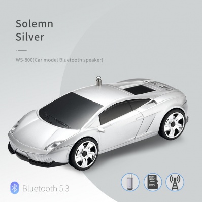 WSTER WS-800 Auto-Modell Bluetooth-Lautsprecher