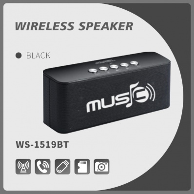 WSTER WS-1519BT bluetooth speaker