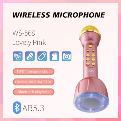 microfone karaok&ecirc; WSTER WS-568