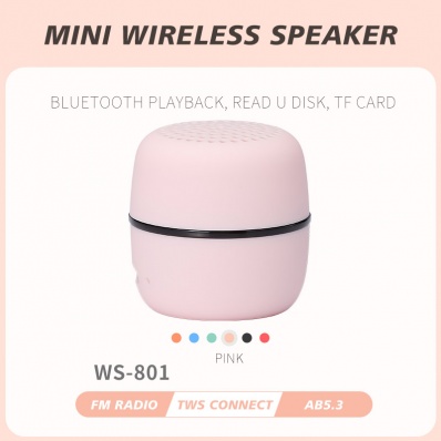 WSTER WS-801 mini bluetooth speaker