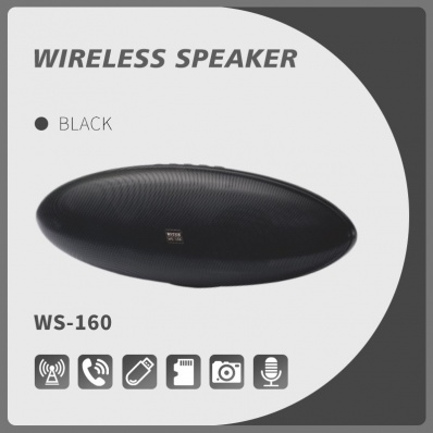 مكبر صوت بلوتوث WSTER WS-160