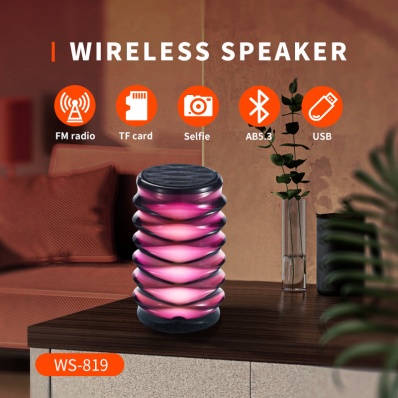 Caixa de som bluetooth WSTER WS-819