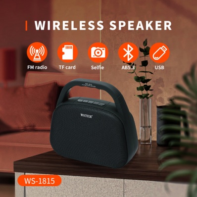 Altoparlante bluetooth WSTER WS-1815
