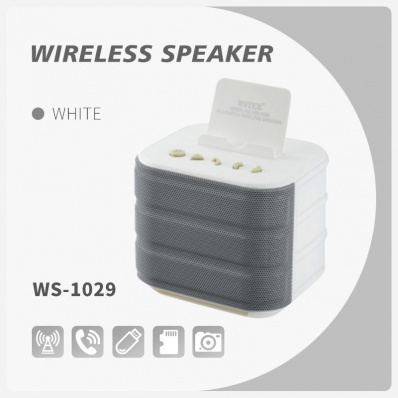 WSTER WS-1029 altoparlante bluetooth