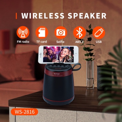 WSTER WS-2816 bluetooth speaker