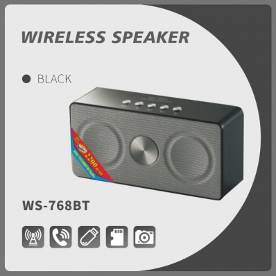 WSTER WS-768BT bluetooth speaker