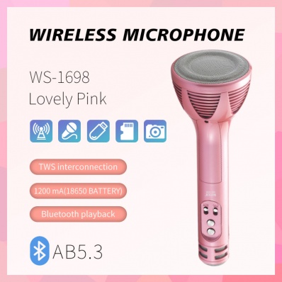WSTER WS-1698 Karaoke-Mikrofon