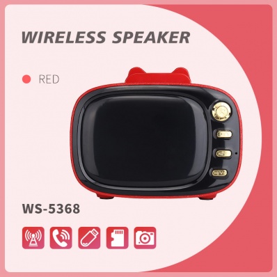 WSTER WS-5368 bluetooth speaker
