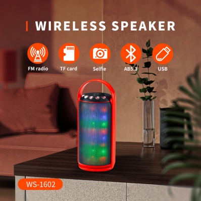 WSTER WS-1602 bluetooth speaker