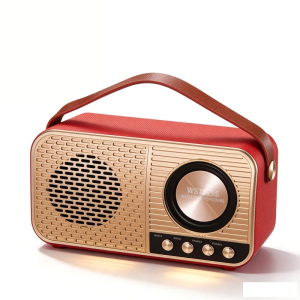WS-3138 Bluetooth-Lautsprecher mit FM-Radio, USB/TF, kabelloser Lautsprecher