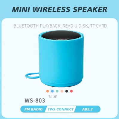 WSTER WS-803 mini bluetooth speaker