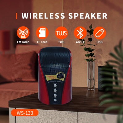 WSTER WS-133 altoparlante bluetooth