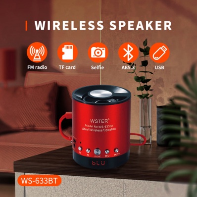 مكبر صوت بلوتوث WSTER WS-633BT
