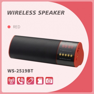 WSTER WS-2519BT bluetooth speaker