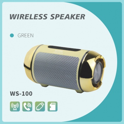 WSTER WS-100 bluetooth-speaker