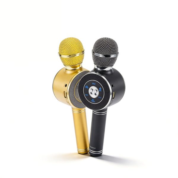 WS-668 Haut-parleur micro Karaok&eacute; sans fil Bluetooth avec radio FM USB/TF micro &agrave; main