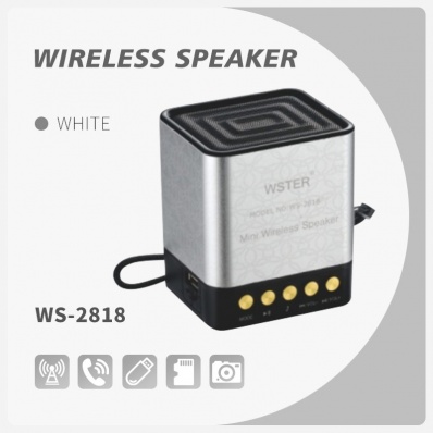 WSTER WS-2818 bluetooth speaker