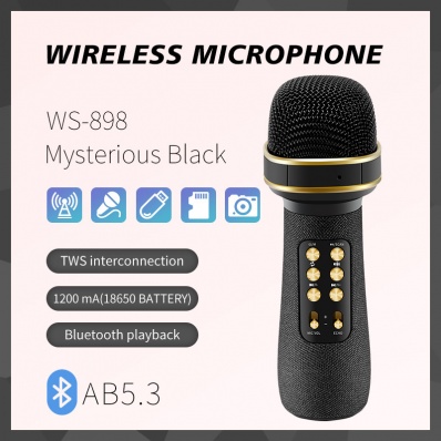 Micro karaok&eacute; WSTER WS-898