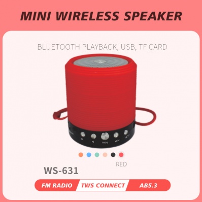 WSTER WS-631 Mini-Bluetooth-Lautsprecher