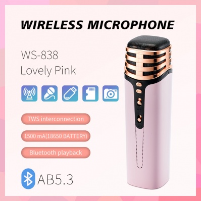 micro karaok&eacute; WSTER WS-838