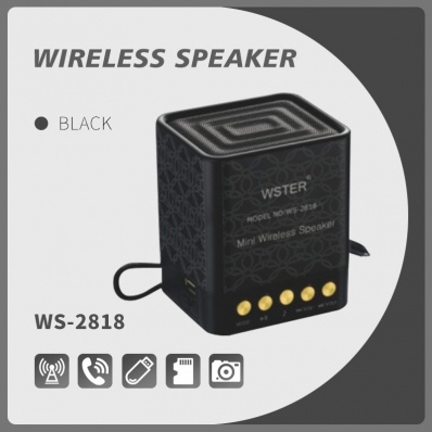 WSTER WS-2818 bluetooth speaker