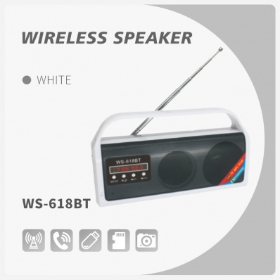 WSTER WS-618BT bluetooth speaker
